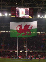 cardiff_welshflag.jpg
