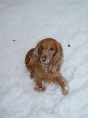 chxmas_neige12.jpg