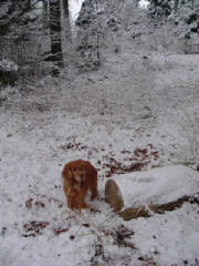 chxmas_neige13.jpg