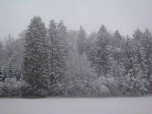 chxmas_neige17.jpg