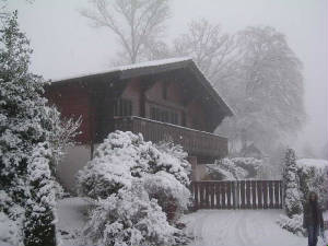 chxmas_neige22.jpg