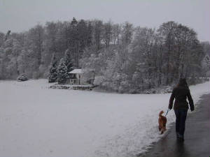 chxmas_neige6.jpg