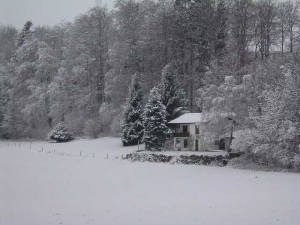 chxmas_neige7.jpg