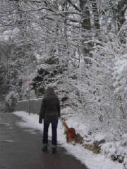 chxmas_neige9.jpg