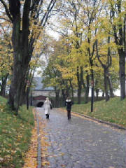 oslo_autumnpark.jpg