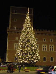 rome_xmastree.jpg